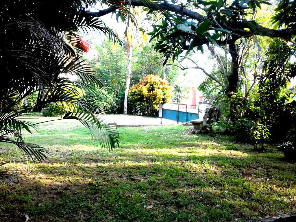 Cozy Cottage-Tangalle Extérieur photo