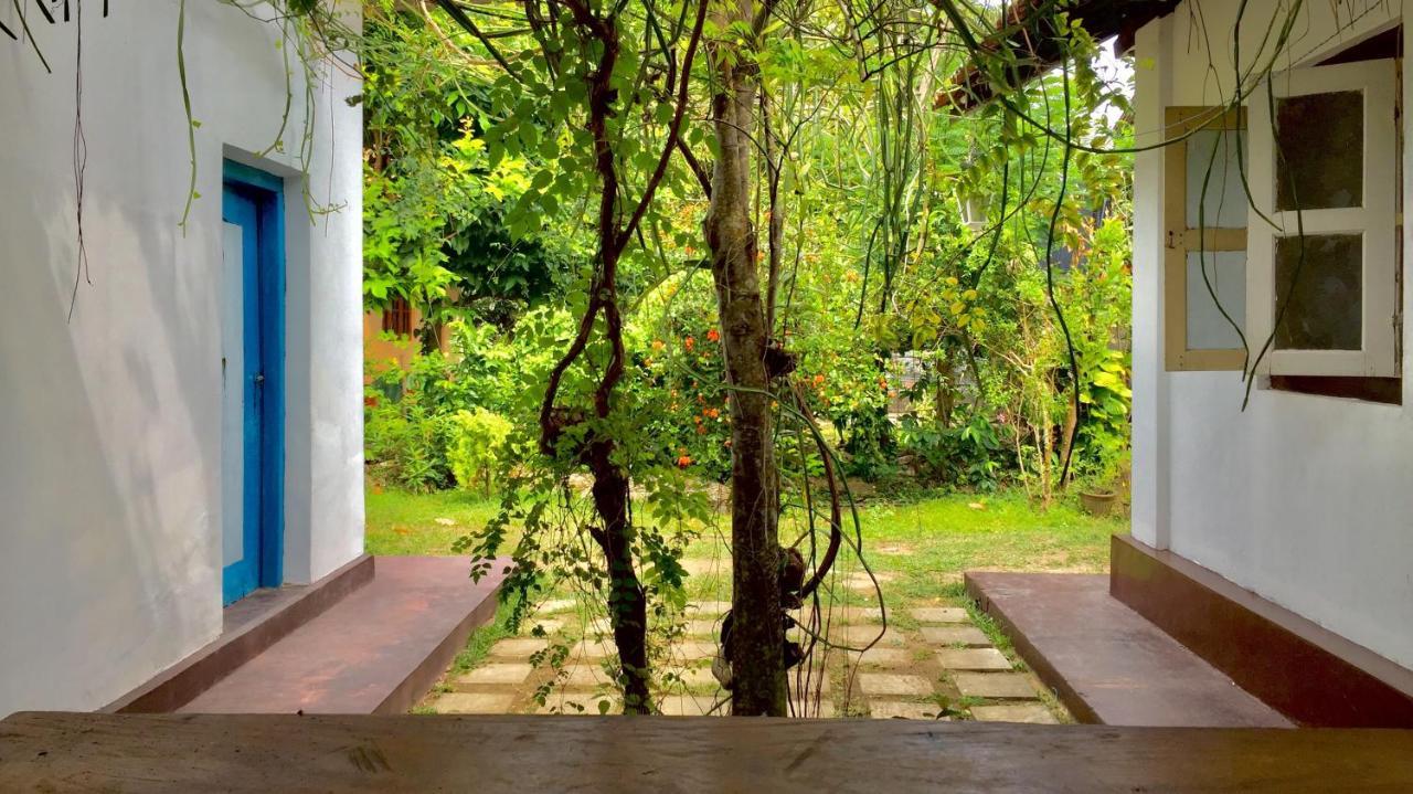 Cozy Cottage-Tangalle Extérieur photo