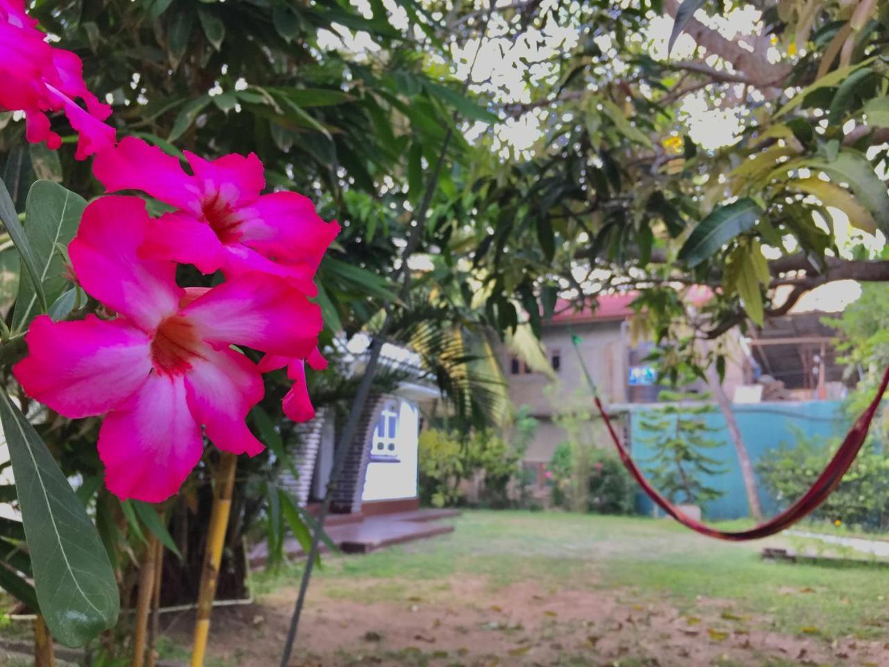 Cozy Cottage-Tangalle Extérieur photo